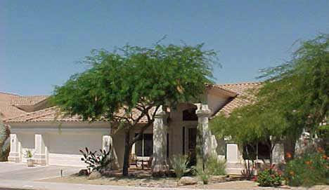 1356 E Desert Flower Ln., Phoenix, AZ 85048