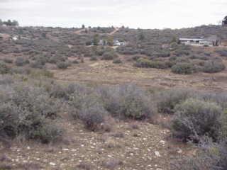 18150 S Henry Coe Ave. #102, Peeples Valley, AZ 86332