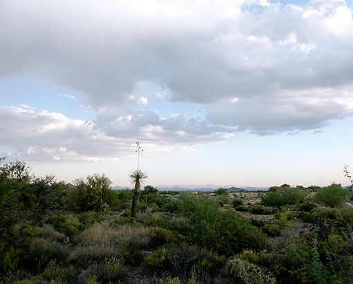 37995 N 109th St. #136, Scottsdale, AZ 85262