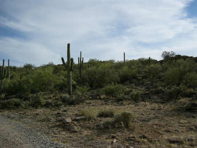 430 N 10th St., New River, AZ