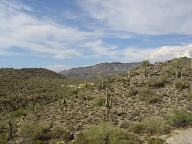43720 N 65th St. #A1, Cave Creek, AZ 85331
