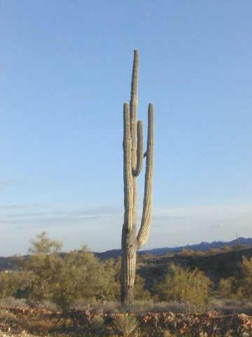 7 E 7.999 Acres #15D, Wickenburg, AZ 85390