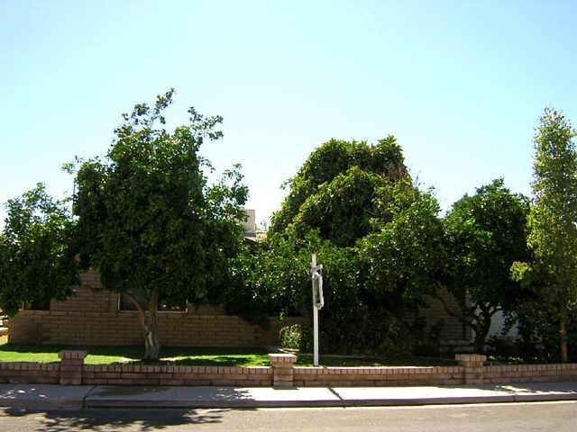2341 S Canton St., Mesa, AZ 85202