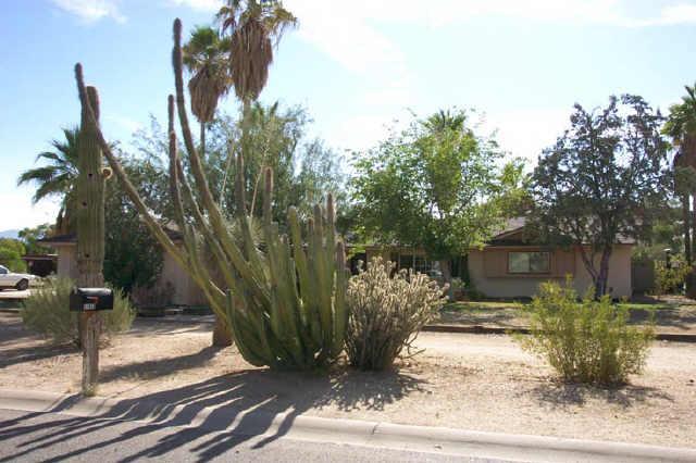 11419 N 67 Th St., Scottsdale, AZ 85254