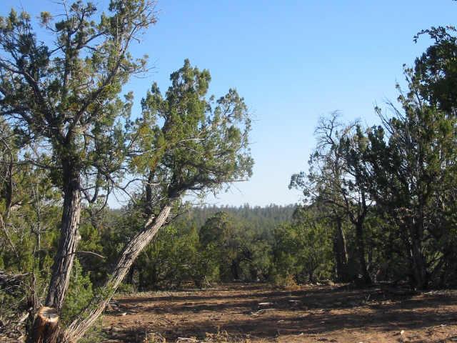1525 W Rocky Top Dr., Heber, AZ 85928