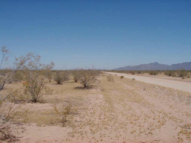 14701 W Gold Ln. #17, Goodyear, AZ 85338