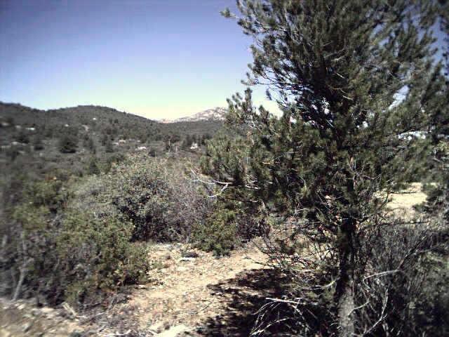 17545 W Buckhorn Dr., Peeples Valley, AZ 86332