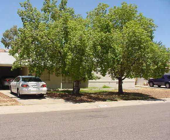 1130 E Palo Verde------->>> Dr., Phoenix, AZ 85014