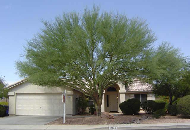 1928 N Terripin St., Mesa, AZ 85207