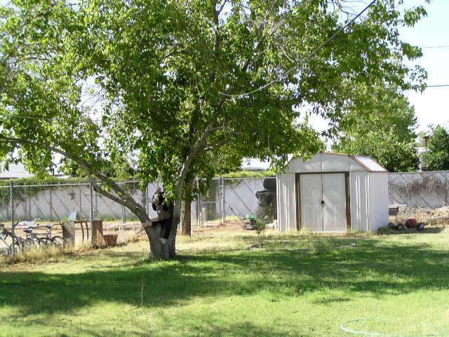 3306 E Harvard St., Phoenix, AZ 85008