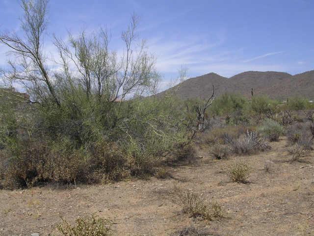 1802 E Tamar Rd. #13, Desert Hills, AZ 85086