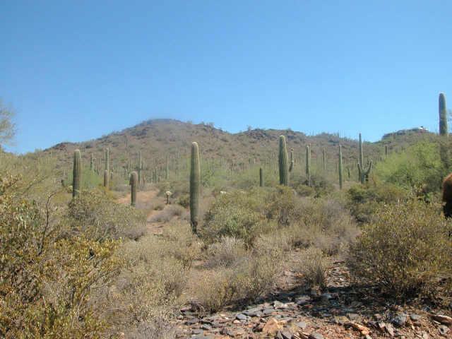 42300 N Sierra Vista Rd. #MB, Cave Creek, AZ 85331