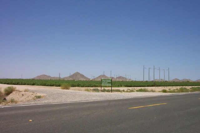 25783 W Elwood St., Buckeye, AZ 85236