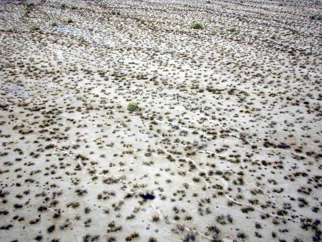 N 115 (approx) Ave., Goodyear, AZ 85338