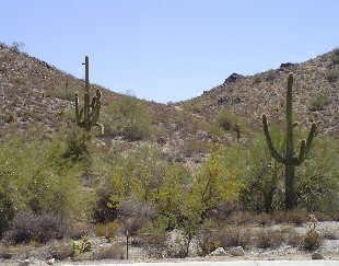 21334 W Granite Ridge Rd. #424, Buckeye, AZ 85396