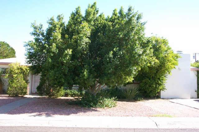 1931 W Luke Ave., Phoenix, AZ 85015