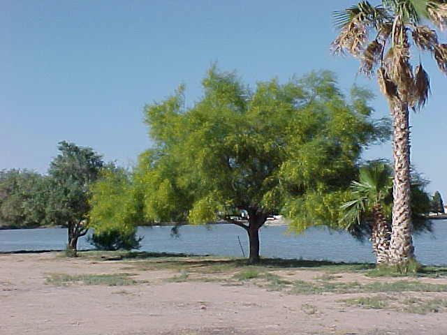 15819 Kona Cir., Arizona City, AZ 85223