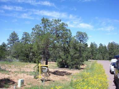 1514 Shade Tree Dr. #105, Heber, AZ 85933