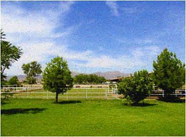 7722 N 173rd Ave., Waddell, AZ 85355