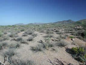 39170 N 93 Pl. #129, Scottsdale, AZ 85262