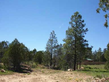 1508 Shade Tree Dr., Heber, AZ 85933