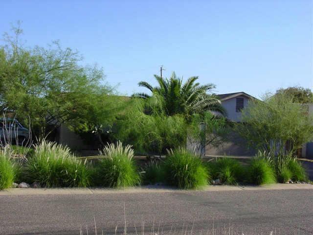 10011 E La Palma Ave., Gold Canyon, AZ 85218