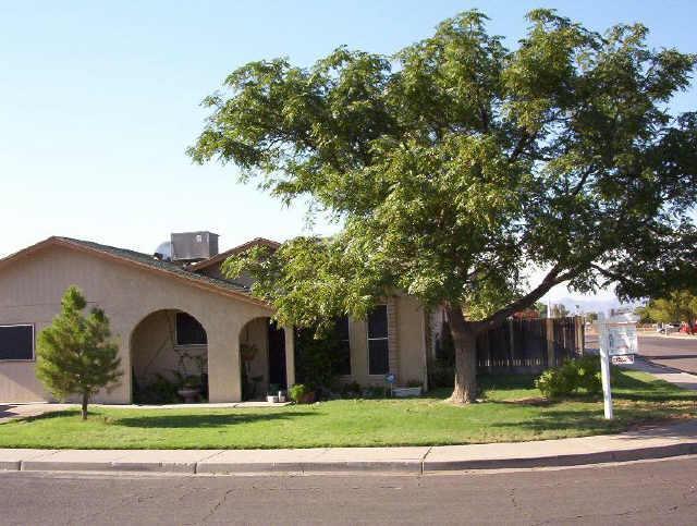 162 E Juniper St., Mesa, AZ 85201