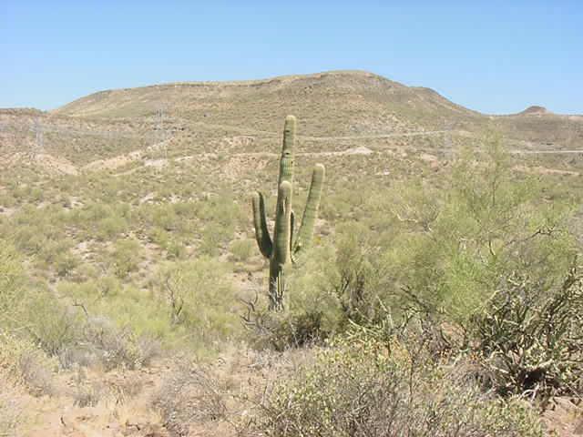 20900 E Coyote Ter., Black Canyon City, AZ 85324