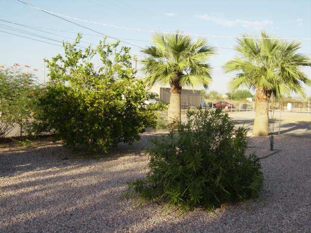 12201 S Dean Rd., Buckeye, AZ 85326