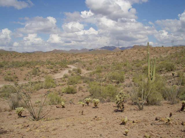 40 NW Elephant Buttesuperstition Rd., Queen Valley, AZ 85219