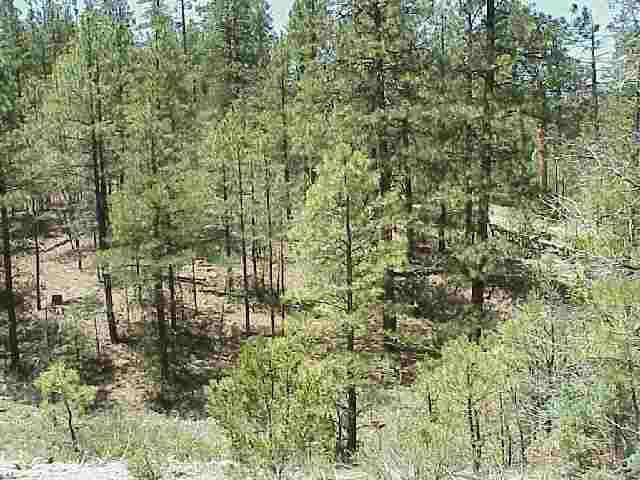 1943 E South Pine Rd. #001, Heber, AZ 85928