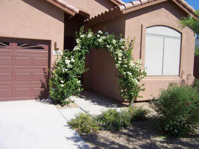 7110 E San Cristobal Way, Gold Canyon, AZ 85118