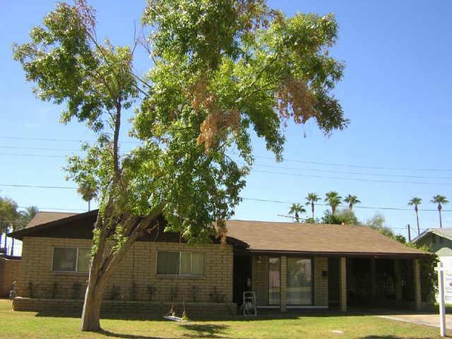 47 W 11th Dr., Mesa, AZ 85202