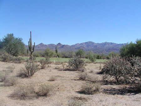 28009 N Desierto Dr. #389, Rio Verde, AZ 85263