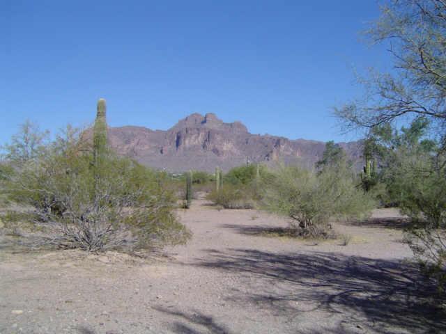 1815 N Bowman Rd., Apache Junction, AZ 85219