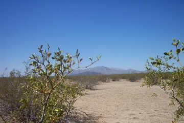 53601 S Centennial Cir. #10, Wickenburg, AZ 85390