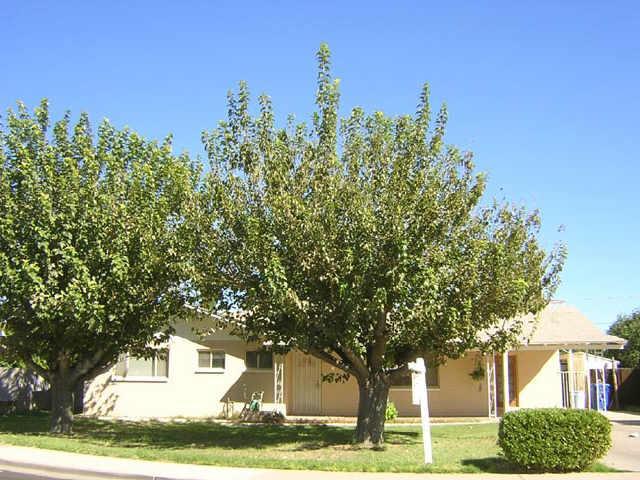 119 S Hall, Mesa, AZ 85204