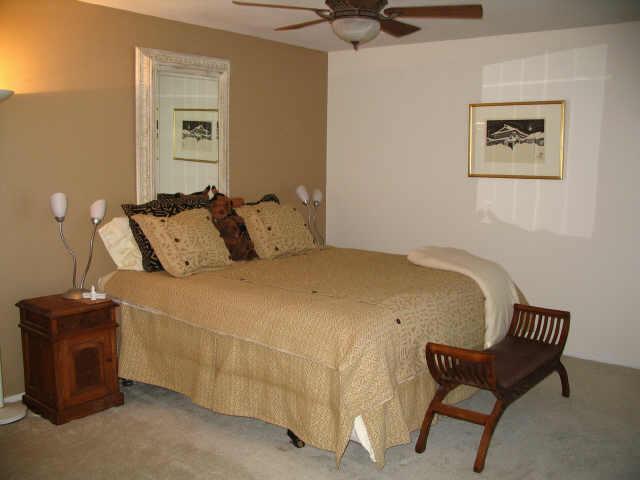 14824 N 51st St., Scottsdale, AZ 85254