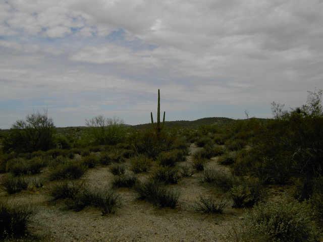 N Grantham Ranch Ter. #10, Wickenburg, AZ 85390