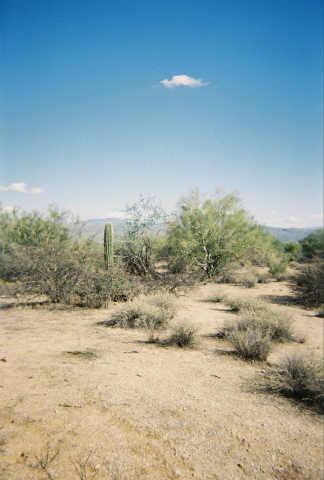 30500 N 164th St. #B, Rio Verde, AZ 85262