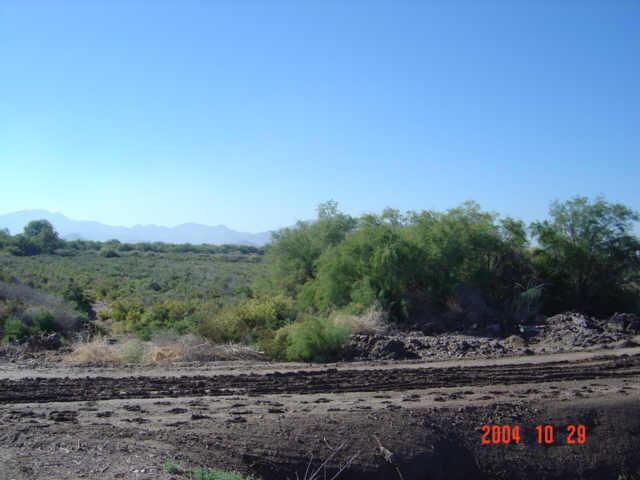 17300 S Bruner Rd. #12, Buckeye, AZ 85343