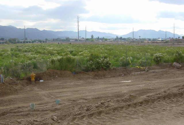 7211 S 12 St. #2, Phoenix, AZ 85040