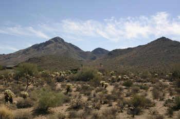 24200 N Alma School Rd. #37, Scottsdale, AZ 85255