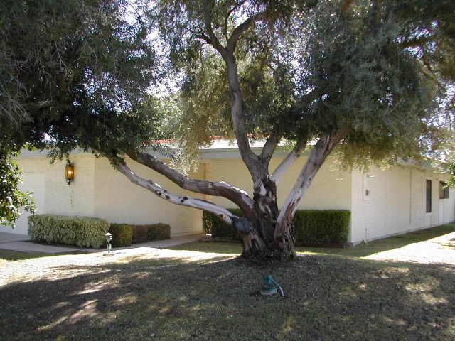 7607 E Tucson Rd., Scottsdale, AZ 85258