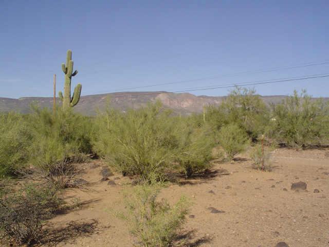 45000 N 8th St. #N/A, New River, AZ 85087