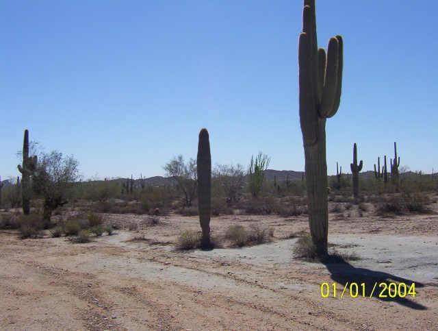 W Judd Rd., Queen Creek, AZ 85242