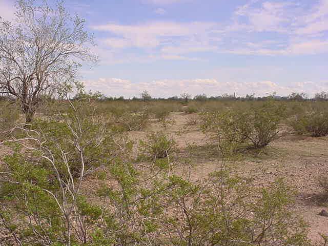 W Hwy 84 Rd. #6A, Maricopa, AZ 85239