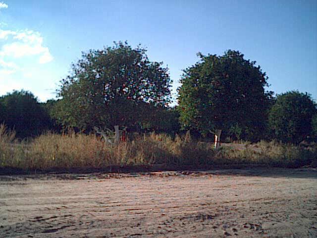 E 183rd Pl. #2D-3, Gilbert, AZ 85297