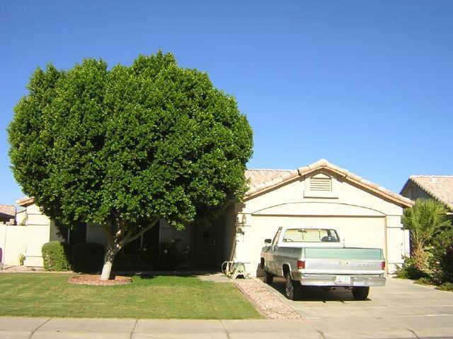 1566 S Monterey St., Gilbert, AZ 85233