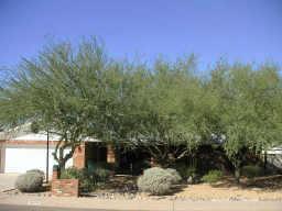 3124 E Wethersfield Rd., Phoenix, AZ 85032